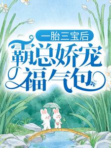 完结版一胎三宝后，霸总娇宠福气包在哪免费看，陆北城江如意小说在线阅读