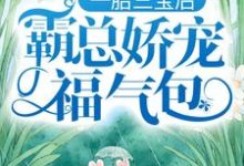 陆北城江如意小说的结局在哪可以看,一胎三宝后,霸总娇宠福气包免费阅读完结版-红妆文学