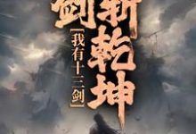 我有十三剑，剑剑斩乾坤（陆无尘）完结版免费阅读-红妆文学