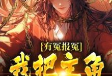 顾长清小说免费阅读最新章节列表，有冤报冤，我把主角宠刀尖小说在线看-红妆文学
