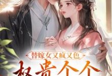 替嫁女又疯又色，权贵个个争风吃醋热门小说(江芙)在线阅读无弹窗-红妆文学