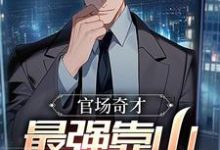官场：被贬后，我强大身世曝光无弹窗李霖最新章节列表-红妆文学