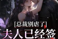 求助这本总裁别虐了,夫人已经签了离婚书小说在哪里可以看完结版-红妆文学