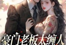 主角是沈雾徐宴行的小说豪门老板太缠人，为她折腰为她疯在哪免费看-红妆文学