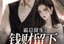 求助这本霸总留步!钱财留下爱带走小说在哪里可以看完结版-红妆文学