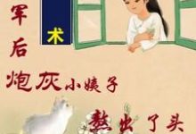 姐随军后,炮灰小姨子熬出了头精彩章节在线免费阅读(吴妮妮叶泽川)-红妆文学