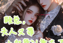 主人公是顾知衍苏禾的小说顾总，夫人又带小少爷认爹去了免费阅读-红妆文学