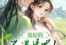 说好的不谈情呢!王爷请自制(风潇潇陆舟渊)最新章节免费在线阅读-红妆文学