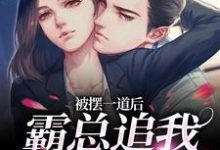 池浅顾锦城在线阅读，被摆一道后，霸总追我火葬场小说完结版章节-红妆文学