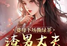 婆母下场撕绿茶，渣男丈夫被赶出家免费阅读，杜英箫牧尧大结局无弹窗-红妆文学