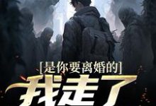 求助这本是你要离婚的,我走了你又哭?小说在哪里可以看完结版-红妆文学