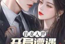 求助这本狂龙入世，开局遭遇绝色未婚妻小说在哪里可以看完结版-红妆文学