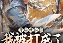 精彩章节阅读开局就挨揍，我被打成了武林至尊(叶青)免费小说在线看-红妆文学