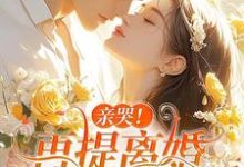 亲哭!再提离婚,霍总彻底失控了精彩章节在线免费阅读(苏暖霍云琛)-红妆文学