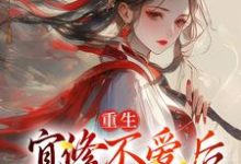 跪求主角是宜修的小说书名叫什么-红妆文学