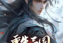 求助这本重生三国,开局黄巾起义小说在哪里可以看完结版-红妆文学