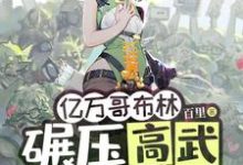 小说亿万哥布林，碾压高武很合理吧？主角苏命免费阅读-红妆文学