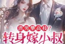 渣男攀高枝?转身嫁小叔被宠哭完结版楚翘免费阅读大结局-红妆文学
