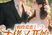 完结版极致爱恋，大佬又开始攻心了在哪免费看，季染傅京渊小说在线阅读-红妆文学