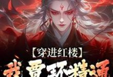 穿进红楼，我贾环精通朝堂争斗无弹窗贾环最新章节列表-红妆文学