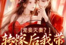 宠妾灭妻？转嫁后我带皇子夺王位精彩章节阅读(魏芷殊)免费阅读大结局-红妆文学