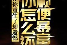 让你重生了却遗憾，你怎么还顺便暴富了？精彩章节阅读(李毅唐雪)免费阅读大结局-红妆文学