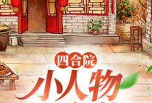 四合院：小人物许大茂精彩章节在线免费阅读（许大茂娄晓娥）-红妆文学