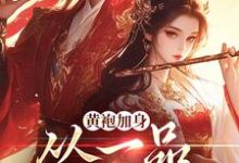 黄袍加身，从一品侯爵开始精彩章节在线免费阅读（卫小宝）-红妆文学