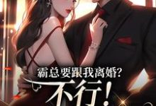 霸总要跟我离婚？不行！我身无分文大结局，明姝小说无广告阅读-红妆文学