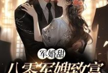 陆宴寻姜枣在线阅读，军婚甜：八零军嫂致富撩夫两不误小说完结版章节-红妆文学