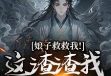 娘子救救我！这渣渣我虐不完免费阅读(司寻)小说免费读最新章节-红妆文学