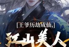 王爷历劫成仙,江山美人全在手在线看,陆澈小说大结局在哪免费看-红妆文学
