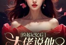 捡起记忆后，大佬说他要娶黑莲花精彩章节阅读(越苏要要)免费阅读大结局-红妆文学