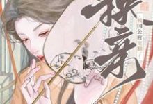 躺赢！换亲后被国公府宠翻了在线看，宁聿娴小说大结局在哪免费看-红妆文学