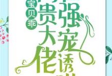 宝贝乖：高贵大佬在强宠诱哄完结版 简以宁陆怀瑾免费阅读大结局-红妆文学