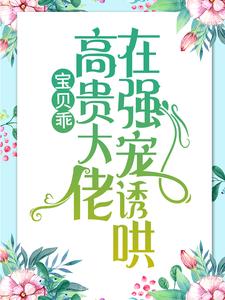 宝贝乖：高贵大佬在强宠诱哄完结版 简以宁陆怀瑾免费阅读大结局