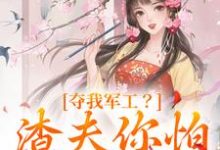 夺我军工？渣夫你怕是没命享无弹窗凌朝歌南宫阎最新章节列表-红妆文学