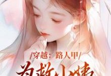 精彩章节阅读穿越：路人甲为救小姨翻身变女主(青雪)免费小说在线看-红妆文学