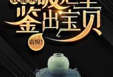 陆飞最新章节列表震惊!我能从破烂里鉴出宝贝!免费阅读-红妆文学