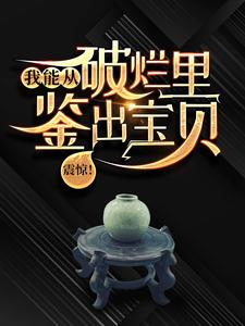 陆飞最新章节列表震惊！我能从破烂里鉴出宝贝！免费阅读