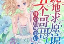 主人公是叶簌簌的小说叶小姐独美后,五个哥哥跪地求原谅免费阅读-红妆文学