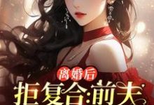 离婚后拒复合：前夫儿子悔断肠（主角沈寒星）完结版免费阅读-红妆文学