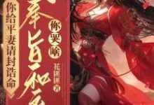 你给平妻请封诰命，我奉旨和离你哭啥？无弹窗陆知苒最新章节列表-红妆文学