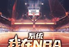 系统：我在NBA把把都超神免费阅读(林浩科比)小说免费读最新章节-红妆文学