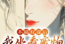 求助这本不搞权谋后,我坐看废物儿女作死小说在哪里可以看完结版-红妆文学