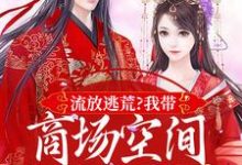 流放逃荒？我带商场空间活的舒服嘞在线看，林书棠段砚洲小说大结局在哪免费看-红妆文学