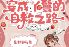 乱世基建,穿成丫鬟的自救之路(主角苏璃赵泽轩)完结版免费阅读-红妆文学