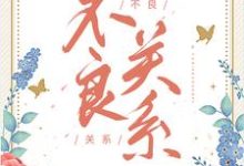 完结版不良关系在哪免费看,桑胤衡南枫小说在线阅读-红妆文学
