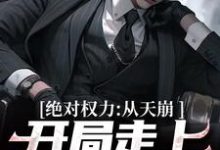 求助这本绝对权力：从天崩开局走上官途巅峰小说在哪里可以看完结版-红妆文学