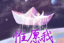 小说惟愿我不曾深爱主角夏墨傅哲免费阅读-红妆文学